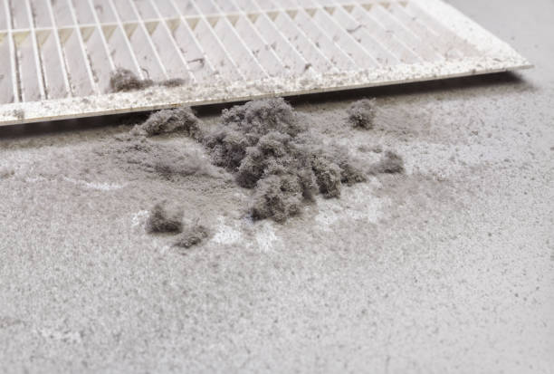 Best Home Air Vent Cleaning  in Belding, MI