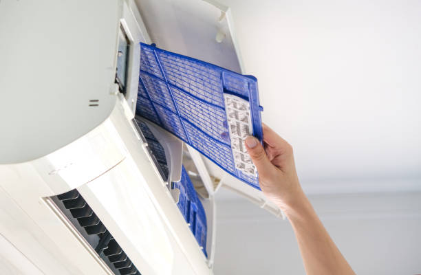 Best Air Duct Sanitizing Services  in Belding, MI
