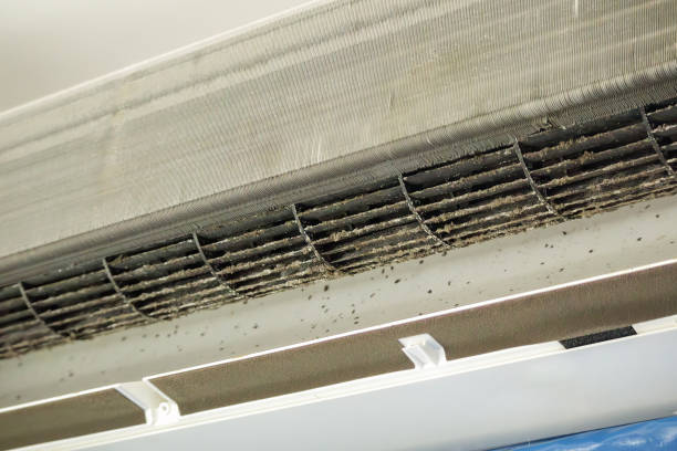 Best Ductwork Cleaning Services  in Belding, MI