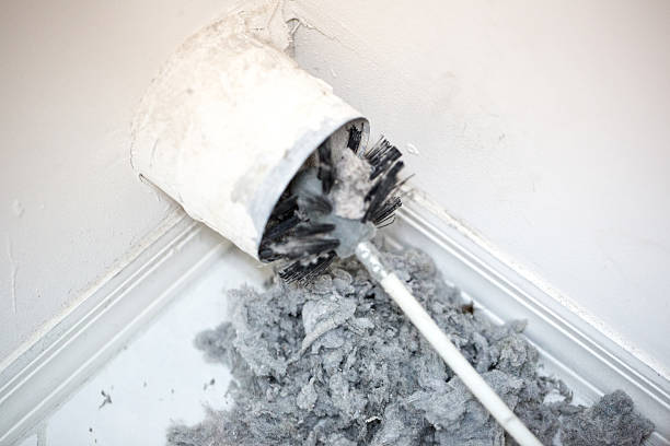 Best Local Air Duct Cleaning Services  in Belding, MI