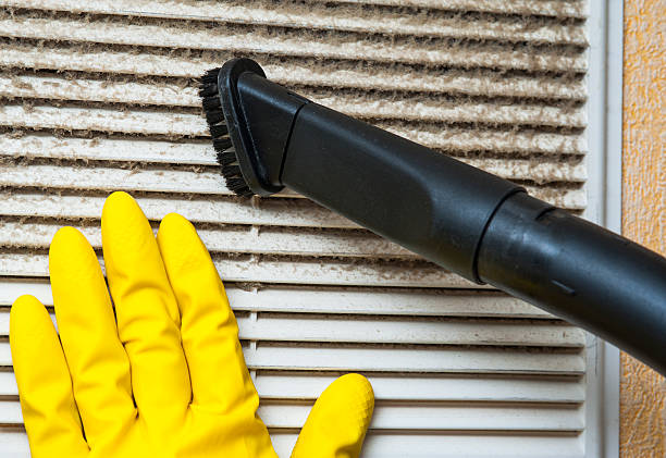 Best Duct Cleaning for Offices  in Belding, MI